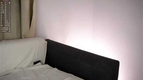 zeldaes @ chaturbate on 20251207