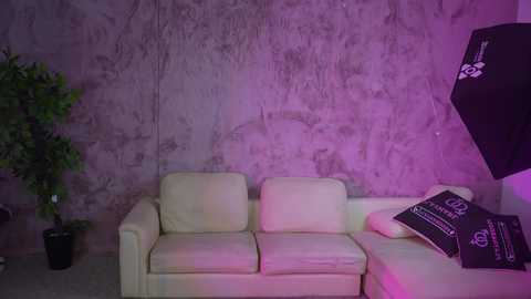 anabel054 @ chaturbate on 20251208