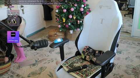 archancel @ chaturbate on 20251208