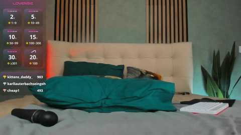 fixielu @ chaturbate on 20251208