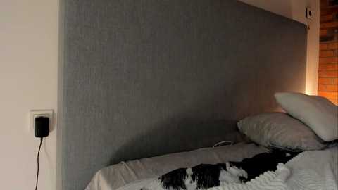 rachel_rey @ chaturbate on 20251208