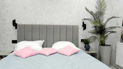 red_mok @ chaturbate on 20251208