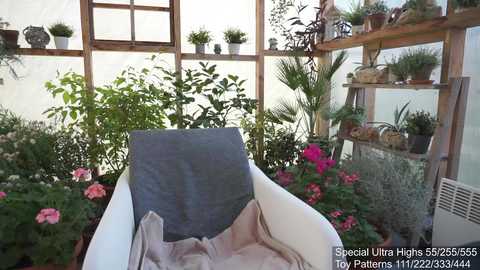 yournaughtypixie @ chaturbate on 20251208