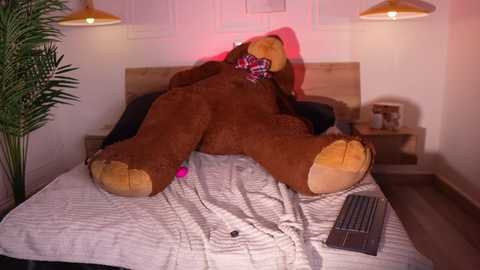 bella__donne @ chaturbate on 20251209