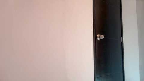 evelyn_jhonson3 @ chaturbate on 20251209