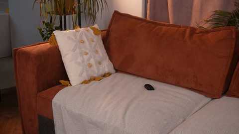 hinicky @ chaturbate on 20251209