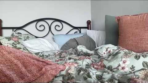 sashacolee @ chaturbate on 20251209