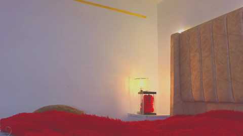 gina_akemi @ chaturbate on 20251210