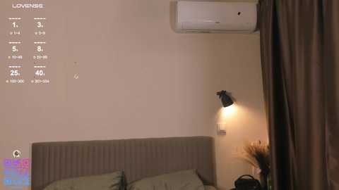 silkencrave @ chaturbate on 20251210