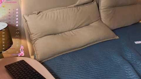 brightrays__ @ chaturbate on 20251211