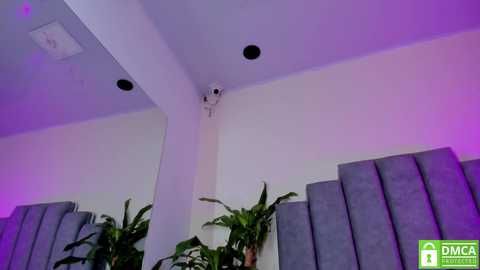 gabriela__gomez @ chaturbate on 20251211