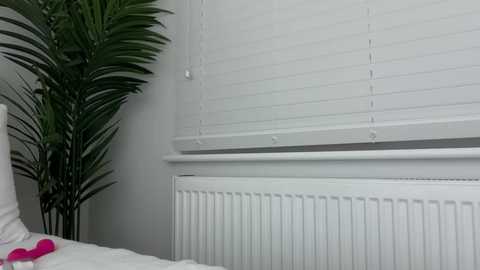 mariareev @ chaturbate on 20251211