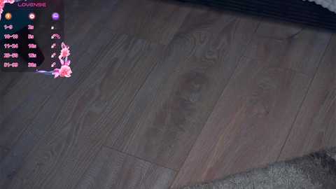 phyllisearney @ chaturbate on 20251211