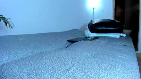 darwin_ggh @ chaturbate on 20251212