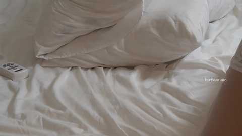 kathariine @ chaturbate on 20251212