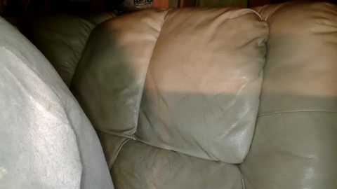 hornycoupleuk666 @ chaturbate on 20251213