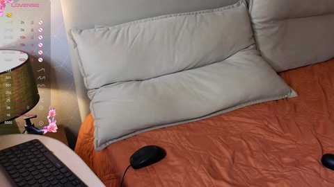 brightrays__ @ chaturbate on 20251214