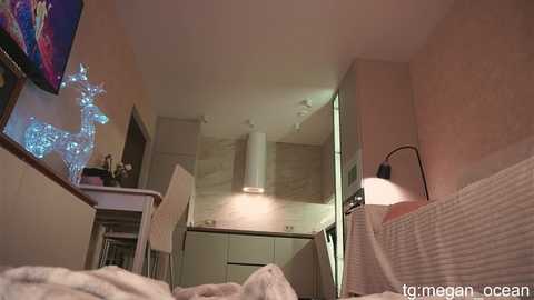 megan_galactica @ chaturbate on 20251214