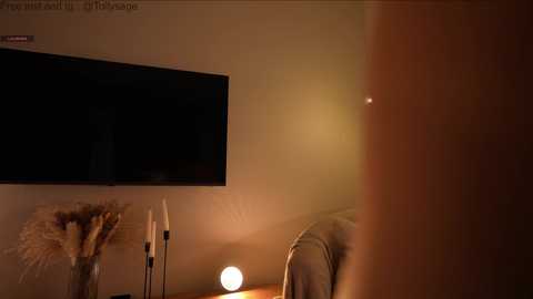 tollysage @ chaturbate on 20251214