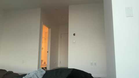 avaowenss @ chaturbate on 20251216