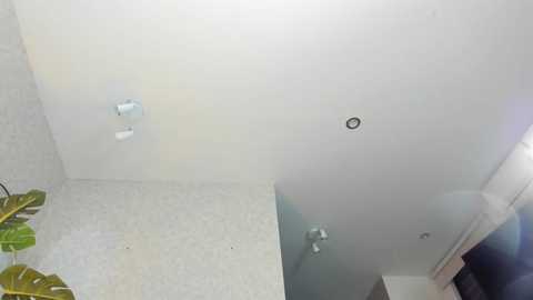 dianac1998 @ chaturbate on 20251216