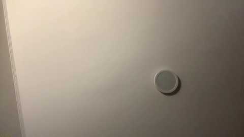 chrislayo @ chaturbate on 20251217