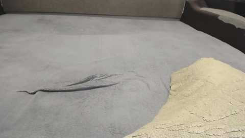 sexyyennifer @ chaturbate on 20251218