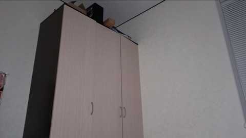 hoaarisa @ chaturbate on 20251219