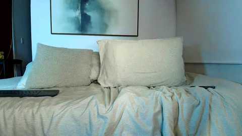 horny_guys_69 @ chaturbate on 20251220