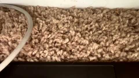 jasonvangrondelle1 @ chaturbate on 20251220