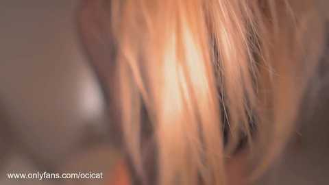 ocicat @ chaturbate on 20251220