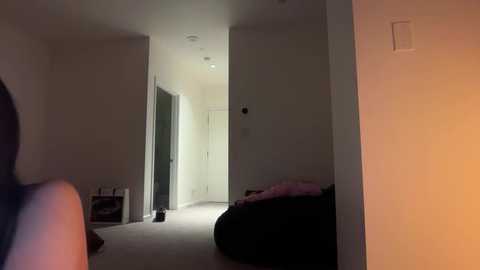 stellapearl @ chaturbate on 20251220