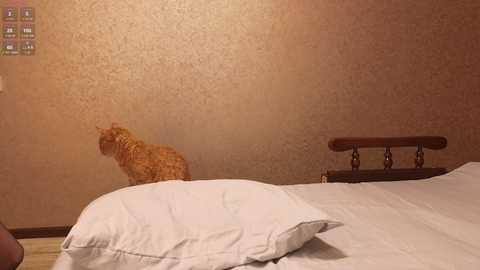 totallytiny_ @ chaturbate on 20251220