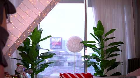 kaylabray @ chaturbate on 20251221