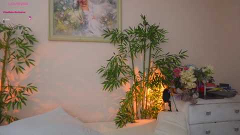 happyalice @ chaturbate on 20251222