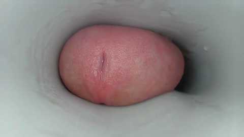 jeffrodgerschaturbat