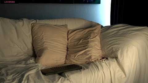 jonathanfranz123 @ chaturbate on 20251222