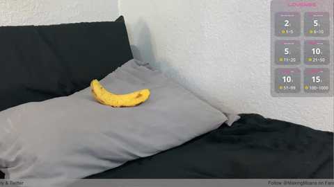 makingmoans @ chaturbate on 20251222