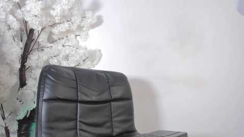 sweetsalice__ @ chaturbate on 20251222