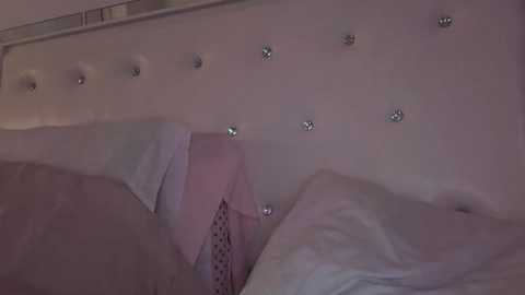 theblondeetwinss @ chaturbate on 20251222