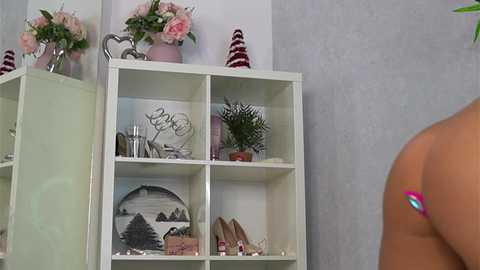 evewilder @ chaturbate on 20251223