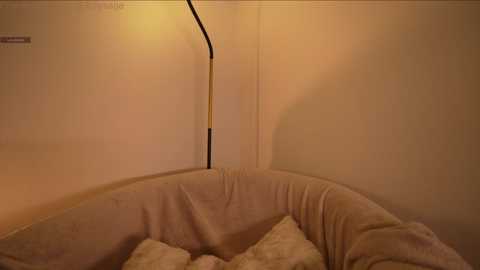 tollysage @ chaturbate on 20251223