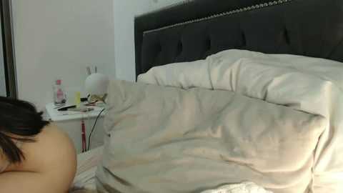 lady____a @ chaturbate on 20251224