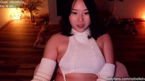 reibelletv @ chaturbate on 20251224