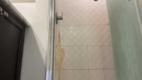 sbouchikh03 @ chaturbate on 20251224