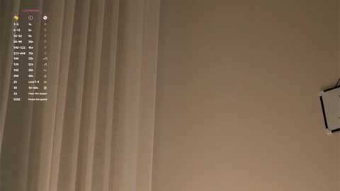 shanelfun @ chaturbate on 20251224