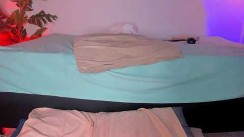 shy_booty18 @ chaturbate on 20251224