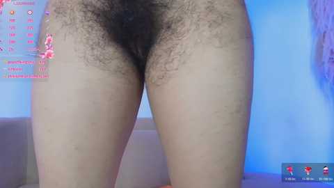 sunflower_aillyn @ chaturbate on 20251224