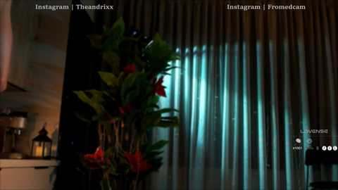 fromedcam @ chaturbate on 20251225