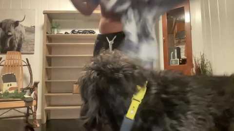 ofthatguy @ chaturbate on 20251226